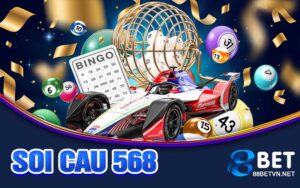 Soi cau 568